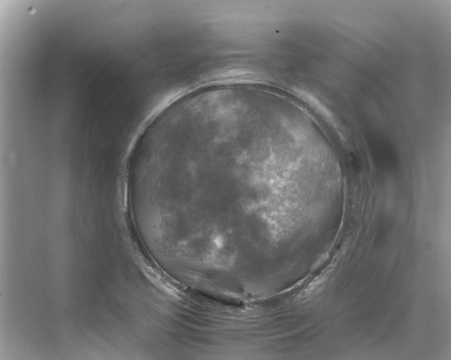 X0000075821413200609291359