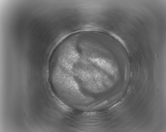 X0000075821415200609291359