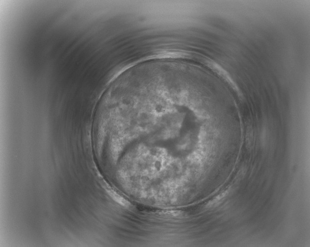 X0000075821417200609291359