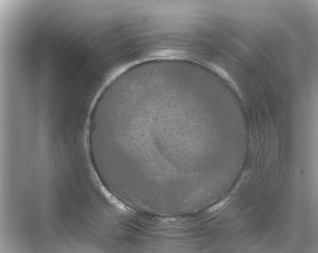 X0000075821421200609291359