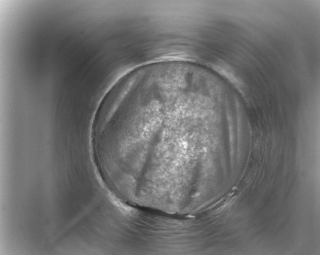 X0000075821423200609291359