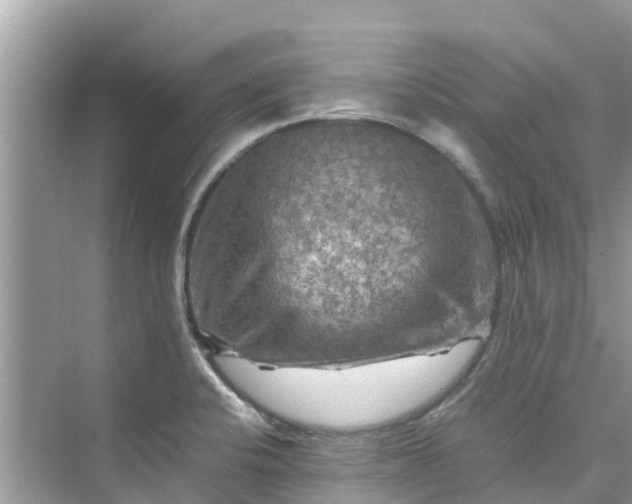 X0000075821424200609291359