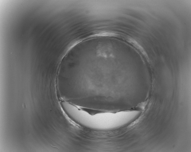 X0000075821425200609291359