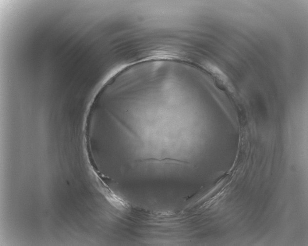 X0000075821427200609291359