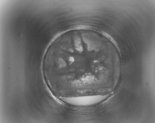 X0000075821429200609291359