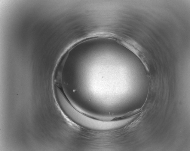 X0000075821430200609291359