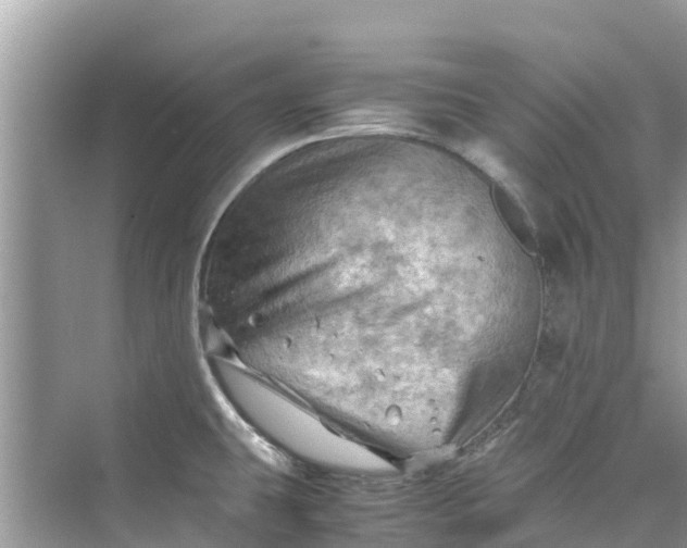 X0000075821431200609291359