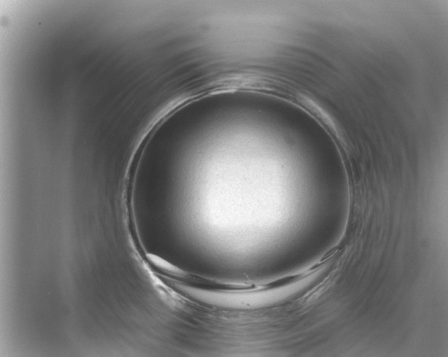 X0000075821434200609291359