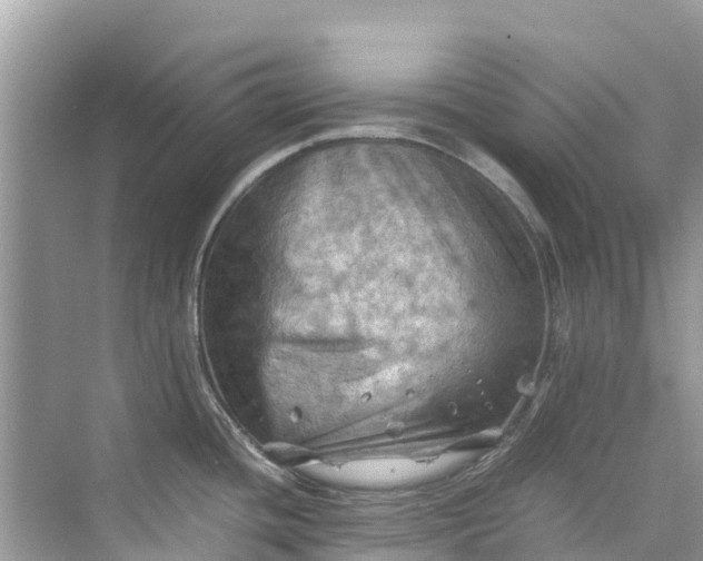 X0000075821436200609291359