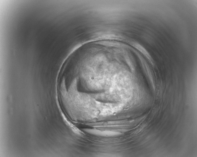 X0000075821439200609291359