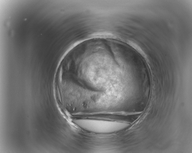 X0000075821440200609291359