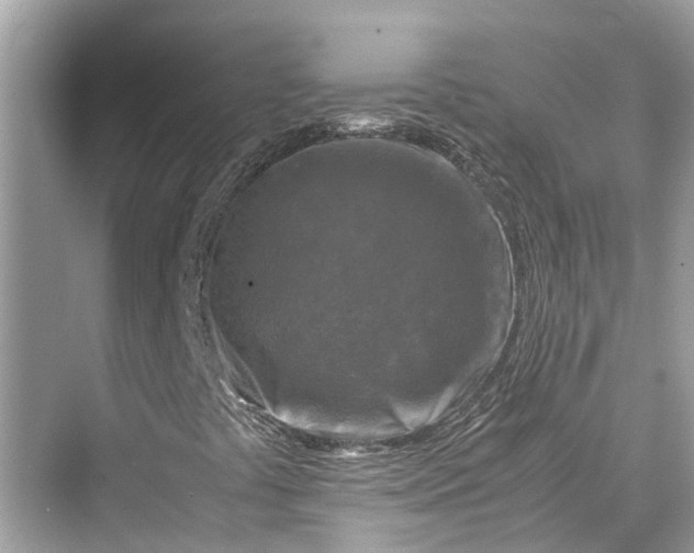 X0000075821441200609291359