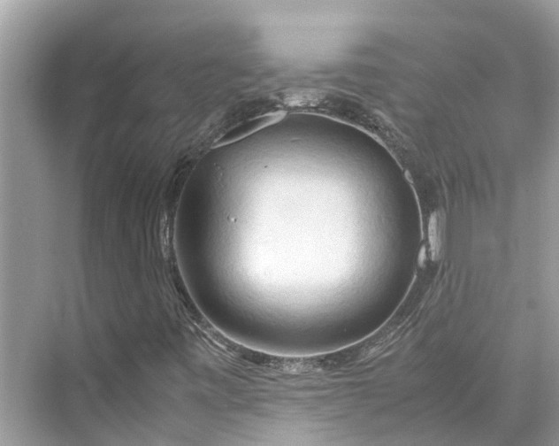 X0000075821443200609291359