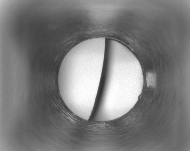 X0000075821444200609291359