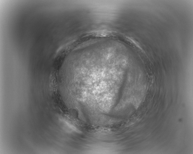 X0000075821446200609291358