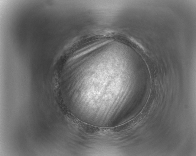 X0000075821447200609291358