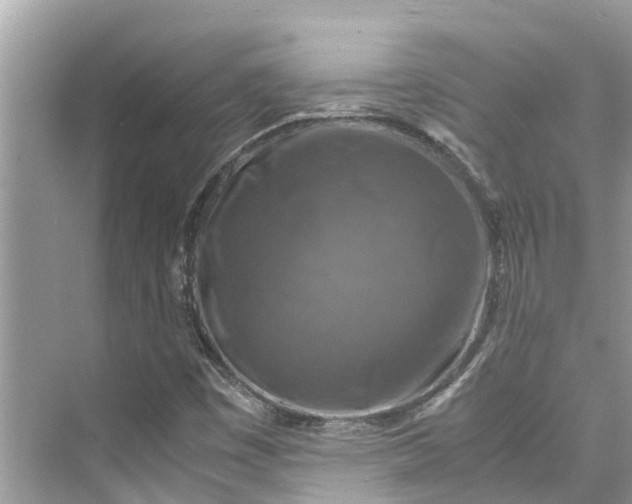 X0000075821449200609291358