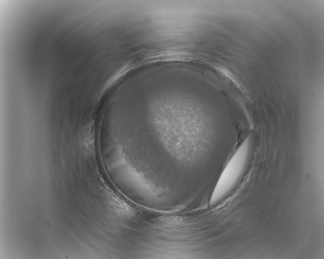 X0000075821450200609291358