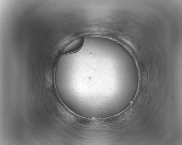 X0000075821451200609291358