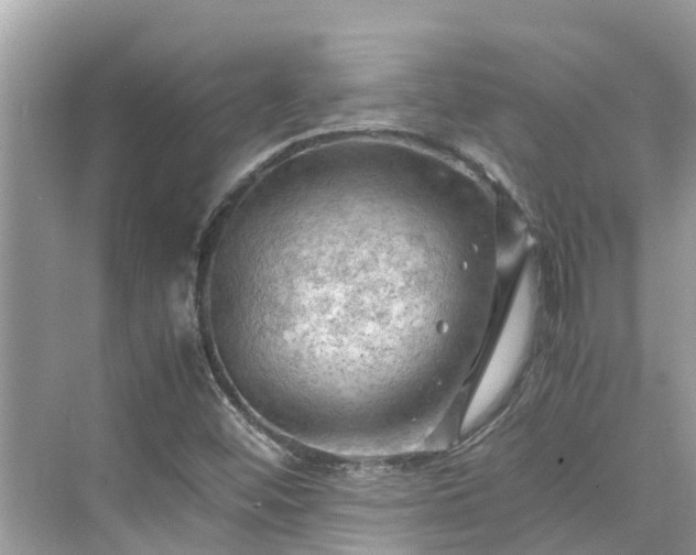 X0000075821452200609291358