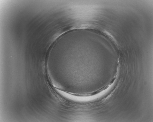 X0000075821457200609291358