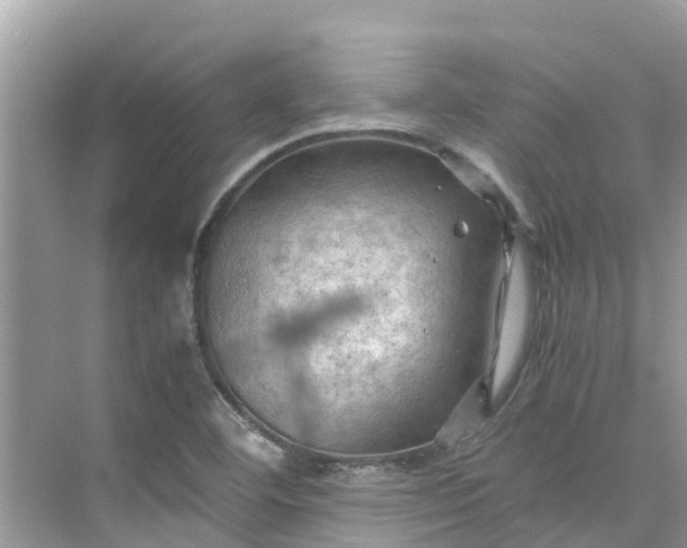 X0000075821460200609291358