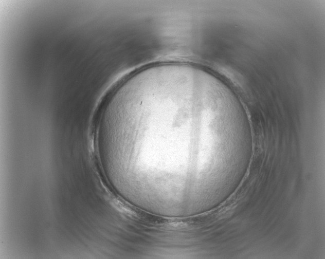 X0000075821462200609291358