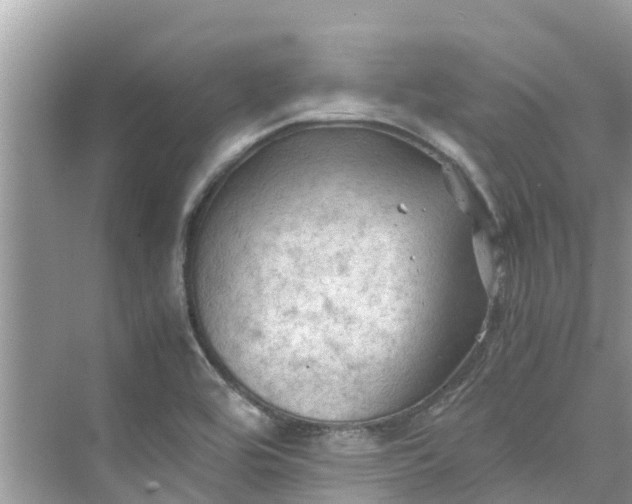 X0000075821464200609291358