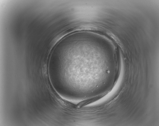 X0000075821465200609291358