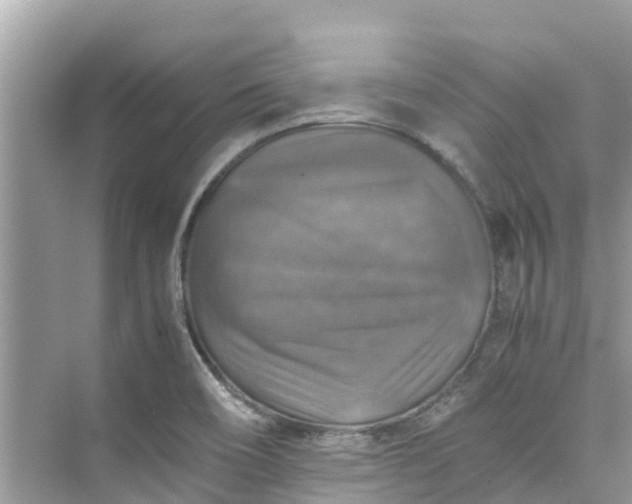 X0000075821466200609291358