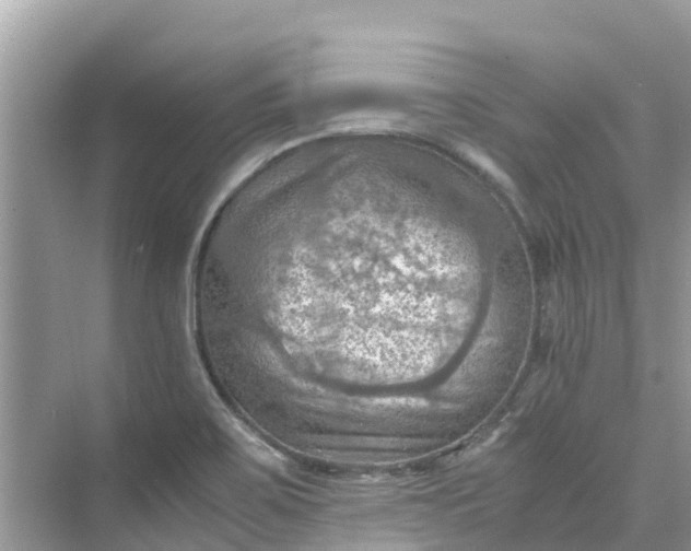 X0000075821467200609291358