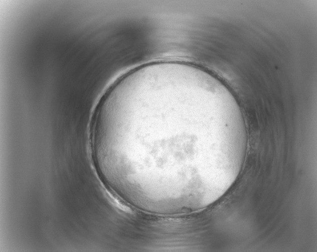 X0000075821470200609291358