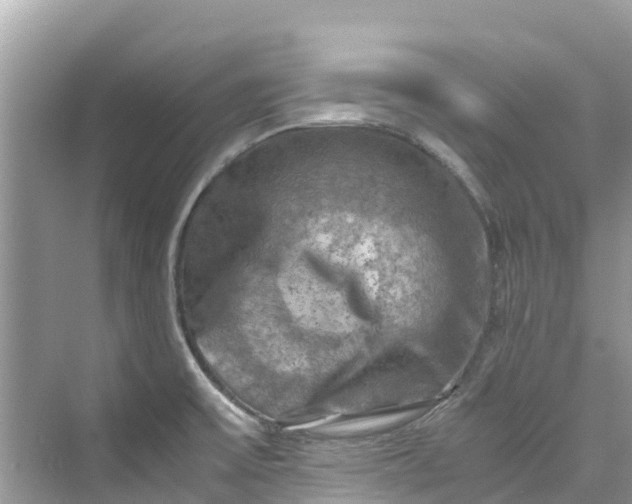 X0000075821475200609291358