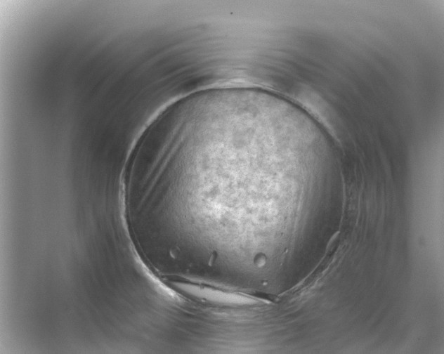 X0000075821476200609291358