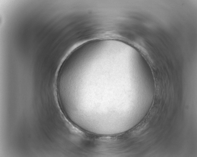 X0000075821478200609291358