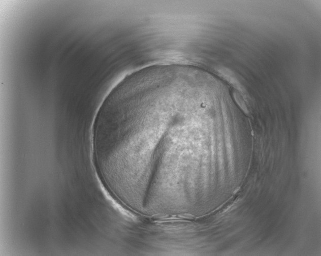 X0000075821479200609291358