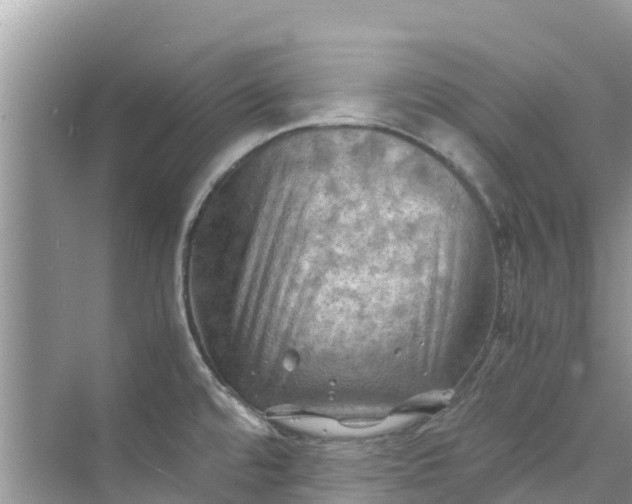 X0000075821480200609291358