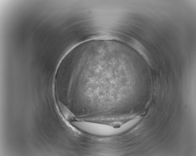 X0000075821484200609291358