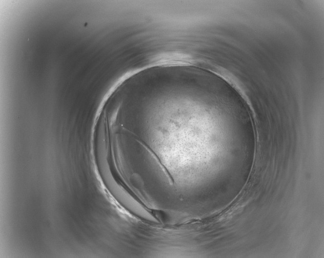 X0000075821488200609291358