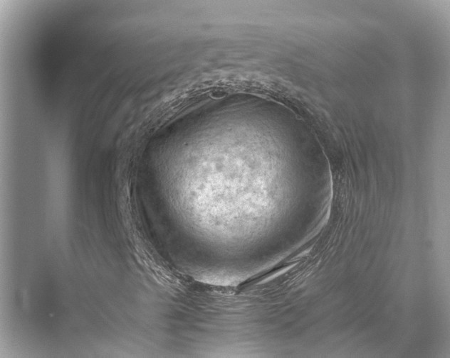 X0000075821489200609291357