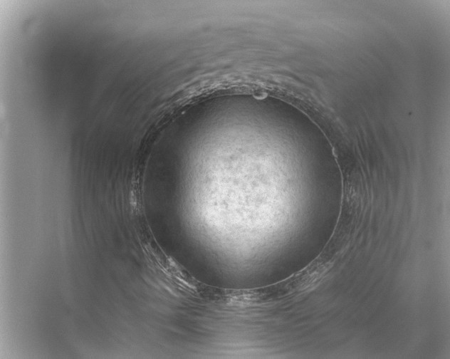 X0000075821490200609291357