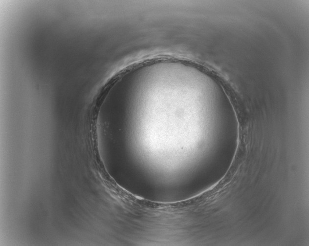 X0000075821496200609291357