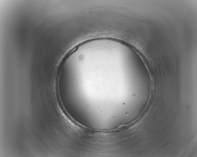 X0000075821500200609291357