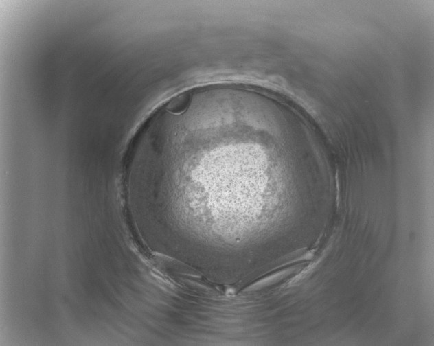 X0000075821501200609291357