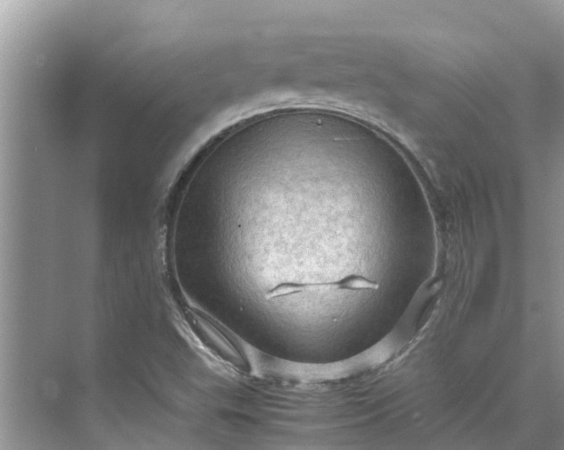 X0000075821503200609291357