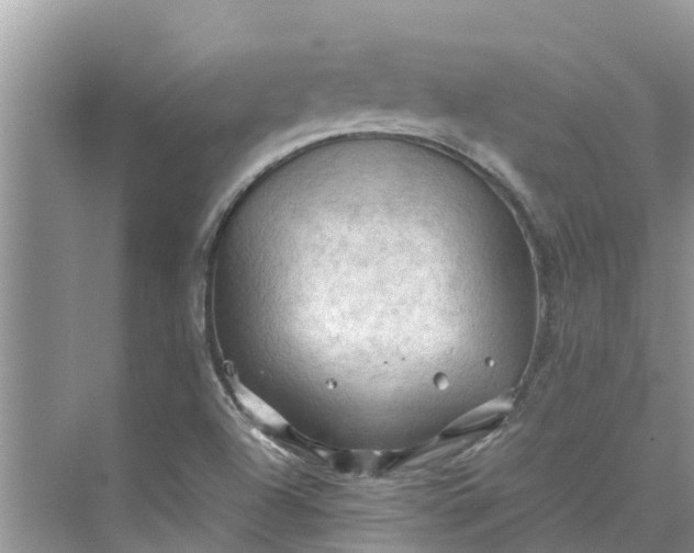 X0000075821504200609291357