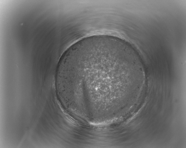 X0000075821505200609291357