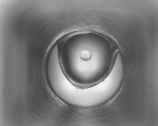 X0000075821506200609291357