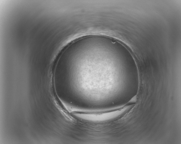 X0000075821507200609291357