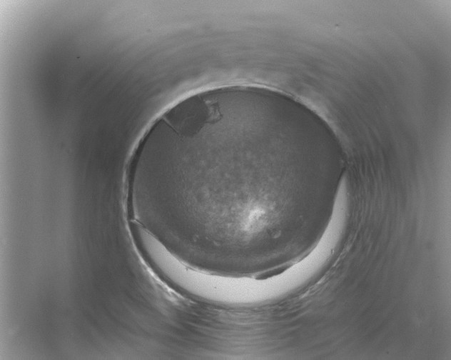 X0000075821508200609291357